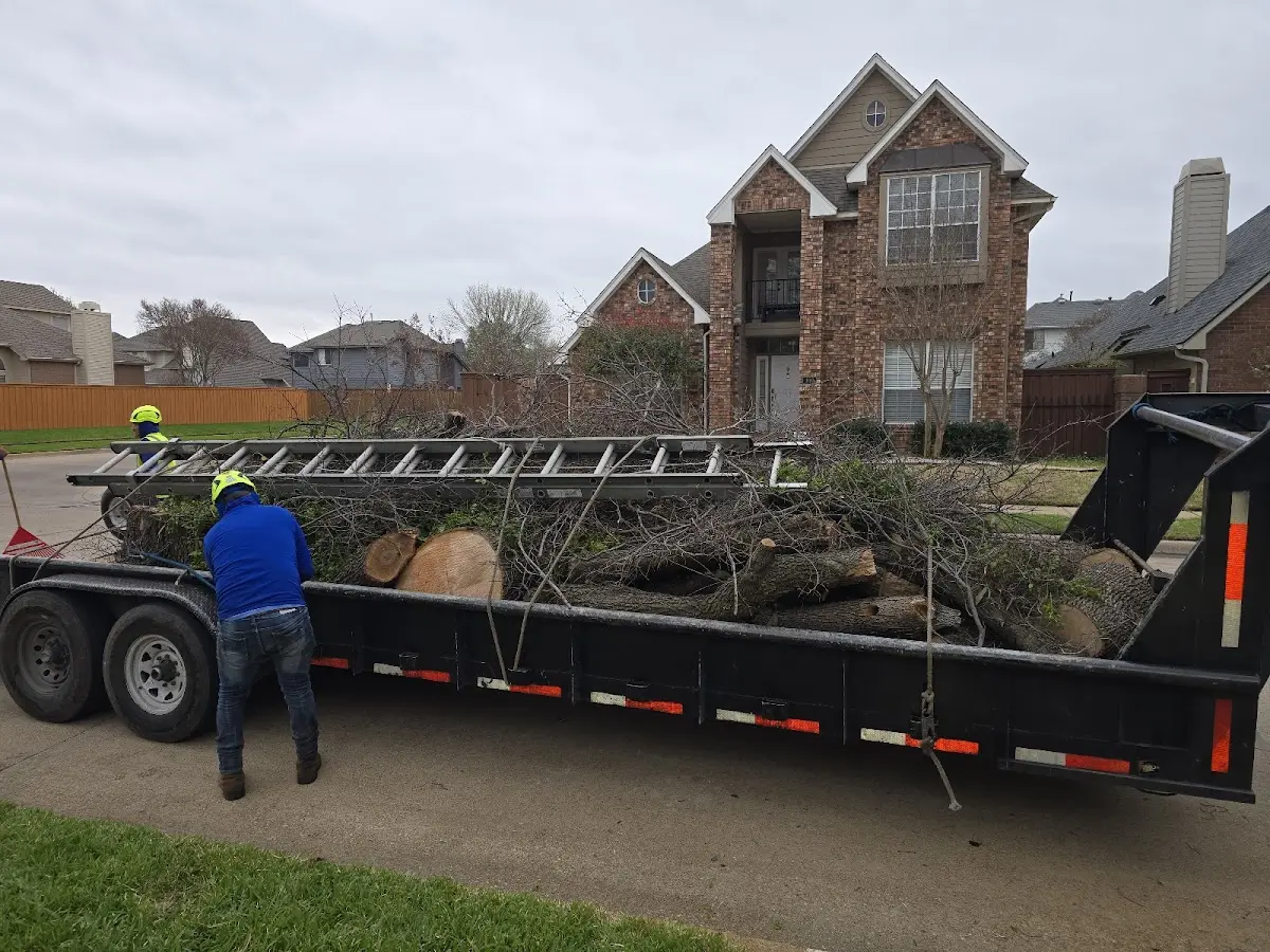Expert Tree Pest Control with proper safety equipment in New Oxford